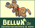 Bellux.de - Zchterverzeichnis und mehr!
