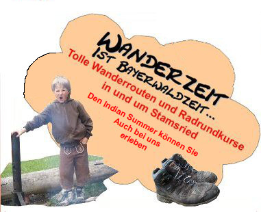 Indian Summer im Bayerischen Wald geniessen. Im angrenzenden Laubwald die ganze Farbenpracht vom Herbst genießen. Indian Summer im Bayerischen Wald geniessen. Im angrenzenden Laubwald die ganze Farbenpracht vom Herbst genießen.