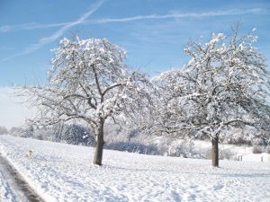 Winter Eindrücke Winter Eindrücke