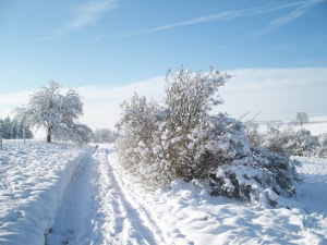 Winterimpressionen Winterimpressionen