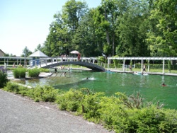 Blick auf den Schwimmerbereich Blick auf den Schwimmerbereich