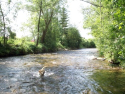 Baden im angrenzenden Weissen Regen, gegenber dem Seepark Arrach