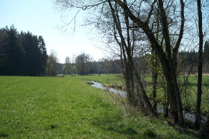 Hier schlengelt sich der Hiltenbach durch die Wald- und Wiesenlandschaft. Die Aufnahme ist in der Nähe von Langwald gemacht worden. Hier schlengelt sich der Hiltenbach durch die Wald- und Wiesenlandschaft. Die Aufnahme ist in der Nähe von Langwald gemacht worden.