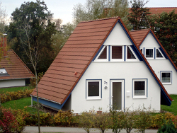 Meer mit Hund, Ferienhaus in Ferienpark direkt an der Nordsee