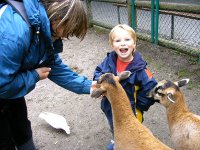 Streichelzoo im Tiergarten Straubing