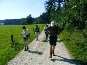 Herrliche Wald und Wiesenlandschaften