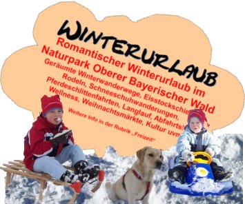 Eine ruhige Urlaubszeit genießen. Kein Verkehrslärm von Zügen, Flugzeugen oder Autos beläßtigt Sie. Von der hecktischen Stadt können Sie sich in unserem ruhigen Feriendorf in herrlicher Landschaft erholen. Genießen Sie die Winterlandschaft, Weihnachtsmärkte und Kultur. Eine ruhige Urlaubszeit genießen. Kein Verkehrslärm von Zügen, Flugzeugen oder Autos beläßtigt Sie. Von der hecktischen Stadt können Sie sich in unserem ruhigen Feriendorf in herrlicher Landschaft erholen. Genießen Sie die Winterlandschaft, Weihnachtsmärkte und Kultur.